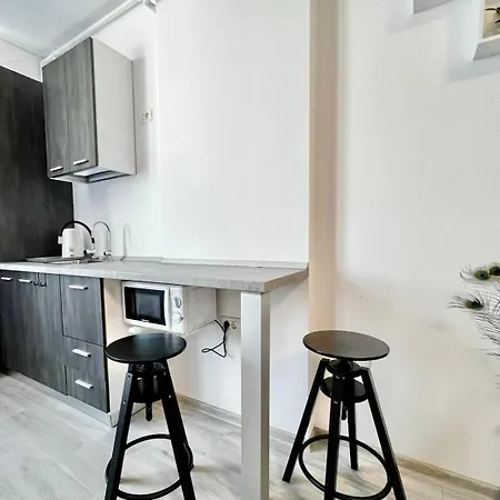 Bs #413 Apartment